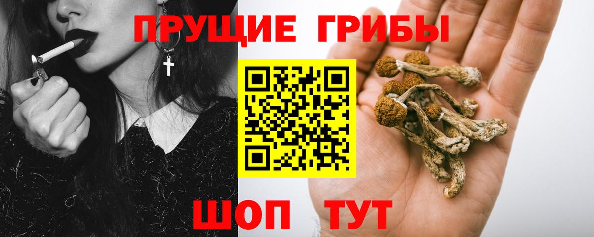 Псилоцибиновые грибы MAGIC MUSHROOMS Ликино-Дулёво